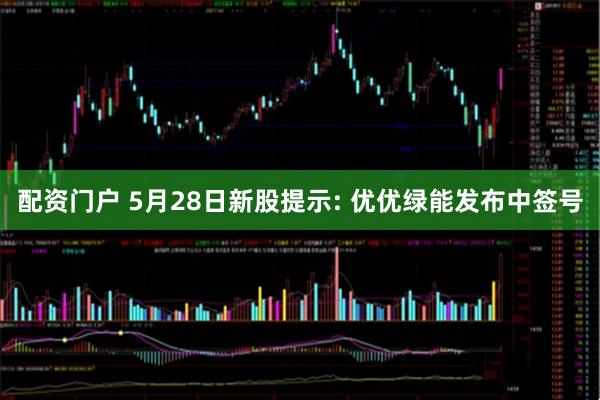 配资门户 5月28日新股提示: 优优绿能发布中签号
