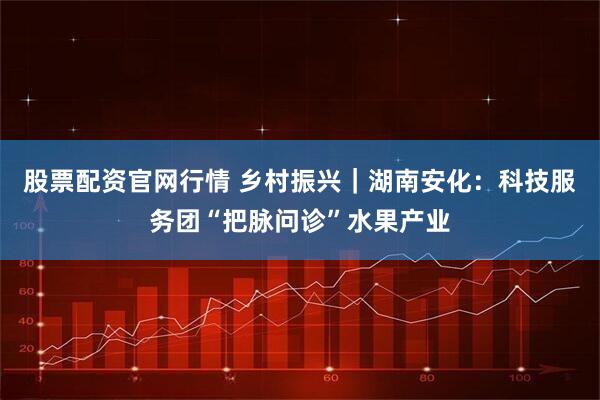 股票配资官网行情 乡村振兴｜湖南安化：科技服务团“把脉问诊”水果产业