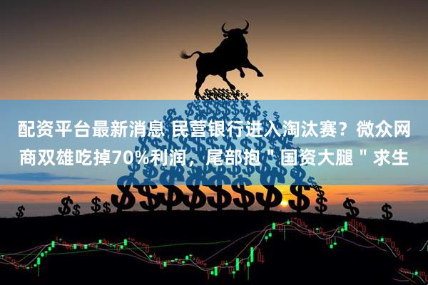 配资平台最新消息 民营银行进入淘汰赛?微众网商双雄吃掉70%利润,尾部抱"国资大腿"求生